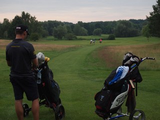 Bild 16